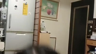 中文精品久久久久国产网址">国产成a人片在线观看视频