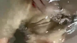 百度云泄密流出研究生情侣酒店开房自拍互相口活